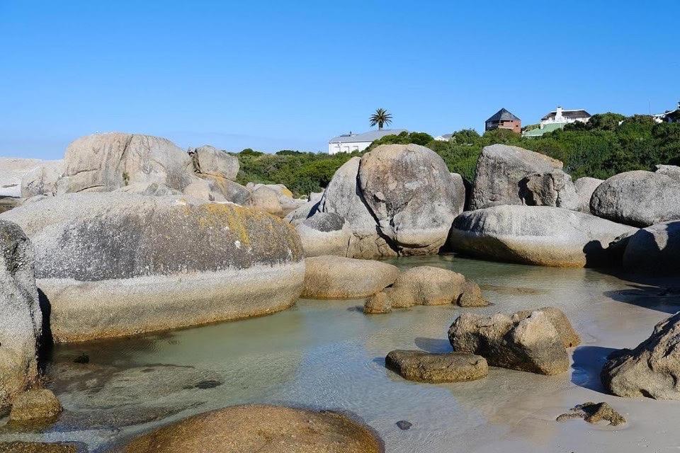 Penguin Haven . Luxury 2 Bedroom, Boulders Beach. Kapstaden Eksteriør billede